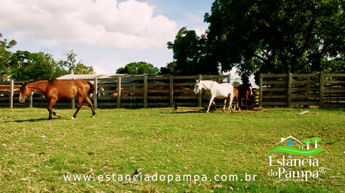 INICIO INICIO.00_03_19_06.Quadro035_6ae71199cc5a50559ce90307a6ddc2079f788c89.jpg